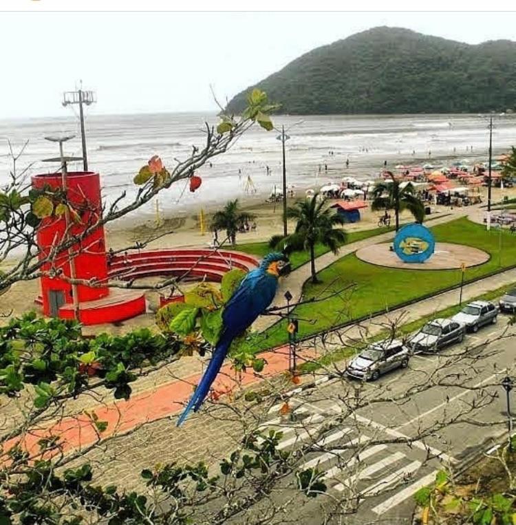 Suites Proximo Ao Rio Jaguareguava Em Bertioga Bagian luar foto