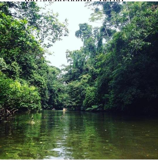 Suites Proximo Ao Rio Jaguareguava Em Bertioga Bagian luar foto